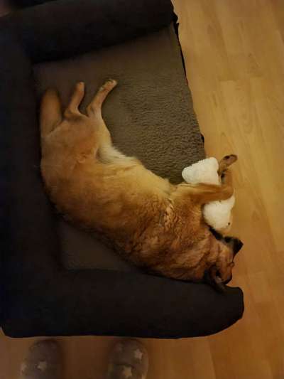 Die unbequemsten und lustigsten Schlafpositionen-Beitrag-Bild