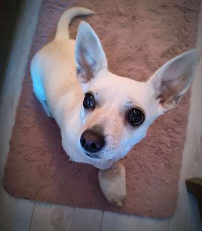 Handy-Foto Challange Nr. 10-Beitrag-Bild