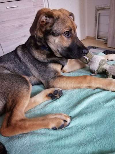 Reico vital - Erfahrungen, Meinungen, Berichte?-Beitrag-Bild