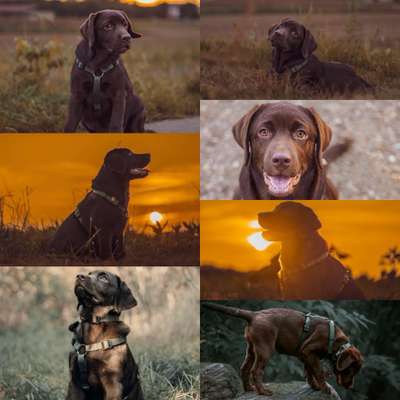 Austausch zur Fotografie-Beitrag-Bild