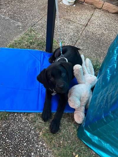 Theos  Fotochallenge Nummer 2-Beitrag-Bild