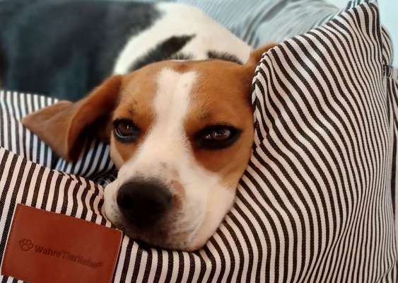 Fotochallange Nr. 57     PORTRÄT.   Beendet!!!!!!!!-Beitrag-Bild