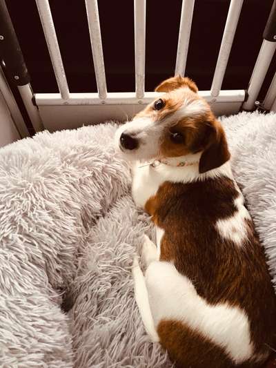 Érbrechen beim Autofahren-Beitrag-Bild