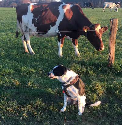 Hier ist der Spaßthread. Zum Schmunzeln und Kaputtlachen-Beitrag-Bild