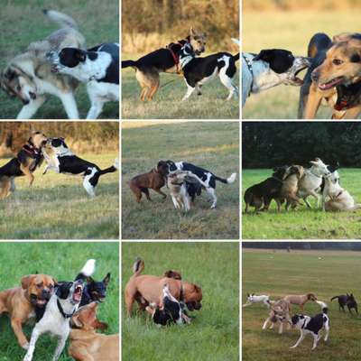 Spieltrieb ;)-Beitrag-Bild