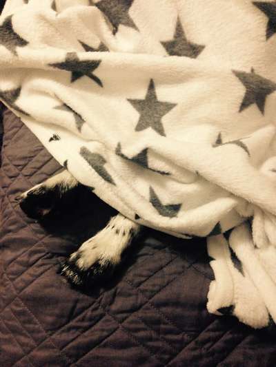 Blick fürs Detail!-Beitrag-Bild