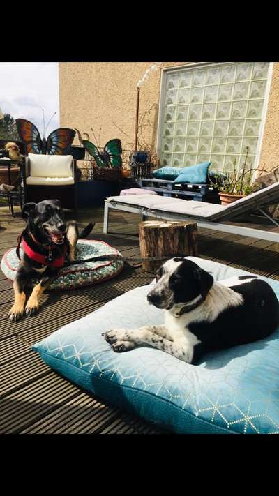 Blick fürs Detail!-Beitrag-Bild