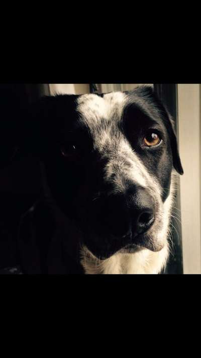 Lieblingsbild :D-Beitrag-Bild