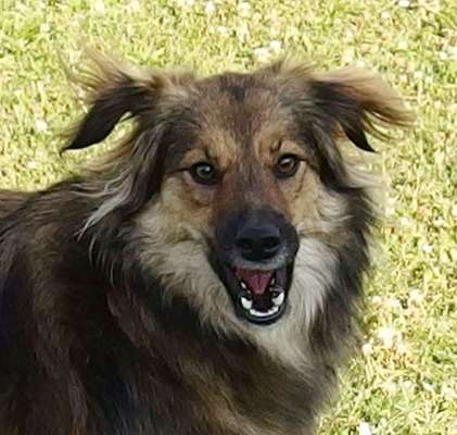 Das beste grinsefoto-Beitrag-Bild