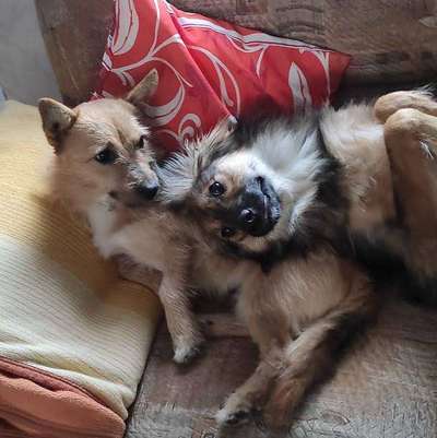 Lieblingsbild-Beitrag-Bild