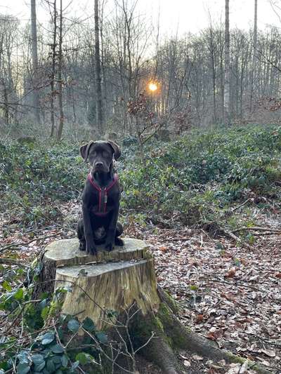 Theos  Fotochallenge Nummer 2-Beitrag-Bild