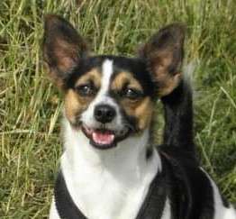 Fotochallange Nr. 57     PORTRÄT.   Beendet!!!!!!!!-Beitrag-Bild