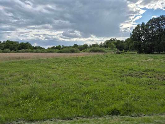 Hundeauslaufgebiet-Totenkopf Plauerhof-Bild