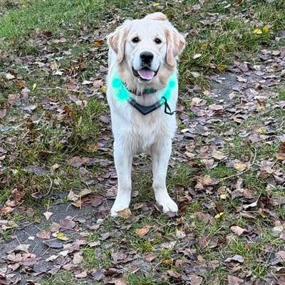 Suche Verein für weiteres Training-Beitrag-Bild