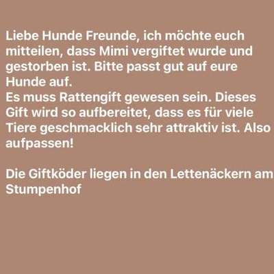 Giftköder-Rattengift Giftköder-Bild