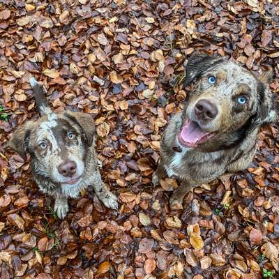 Lieblingsbild-Beitrag-Bild