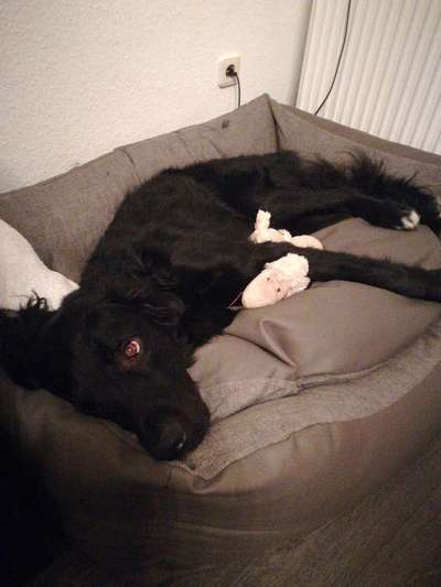 Foto Challenge die Vierte-Beitrag-Bild