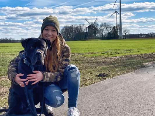 Rassensuche Cane Corso Italiano-Beitrag-Bild