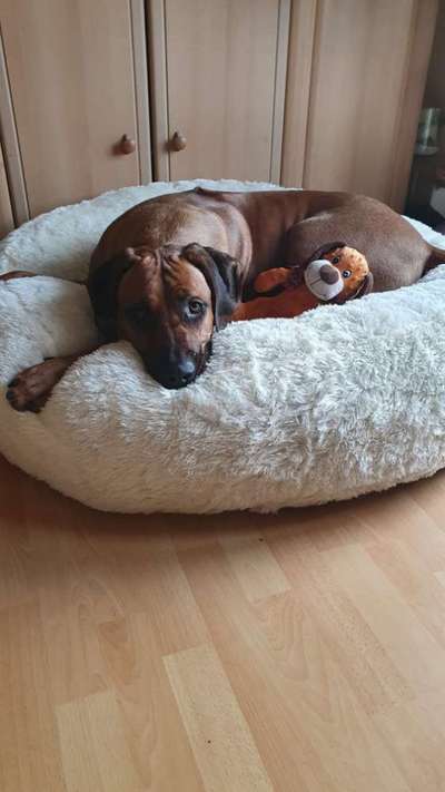 Erfahrung mit Wolkenbett-Beitrag-Bild