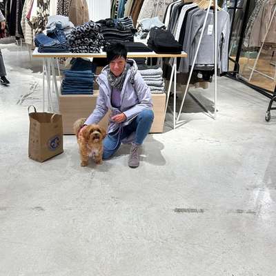 Hundetreffen-Gassi-Bild