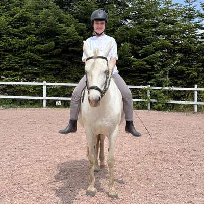 Hundetreffen-Hundetreffen