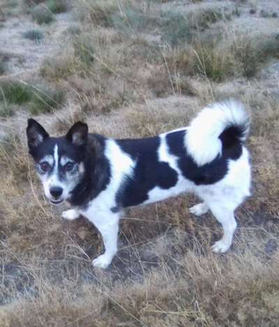 Ist das ein...?-Beitrag-Bild