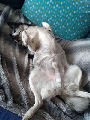 Die unbequemsten und lustigsten Schlafpositionen-Beitrag-Bild