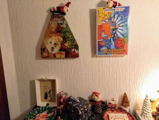 🎈 🦮 Happy Birthday! 🎁🐕-Beitrag-Bild