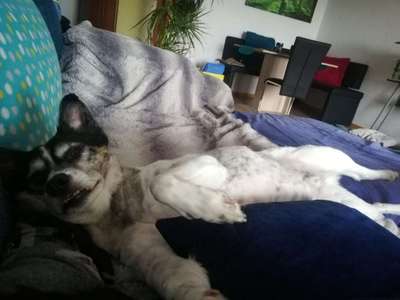 Die unbequemsten und lustigsten Schlafpositionen-Beitrag-Bild