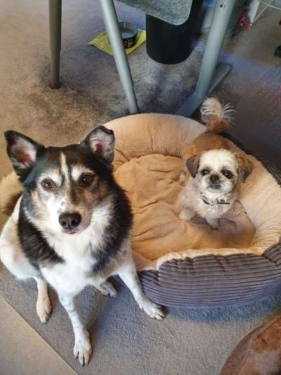 Zeigt her...-Beitrag-Bild