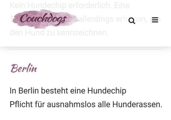 Hund in Berlin - Fragen zu chippen und Öffis-Beitrag-Bild