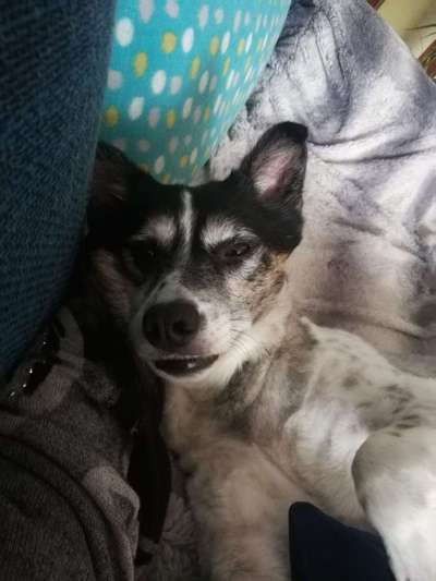 Immer lächeln !-Beitrag-Bild