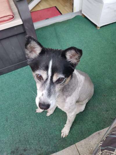 Außergewöhnliche Merkmale-Beitrag-Bild