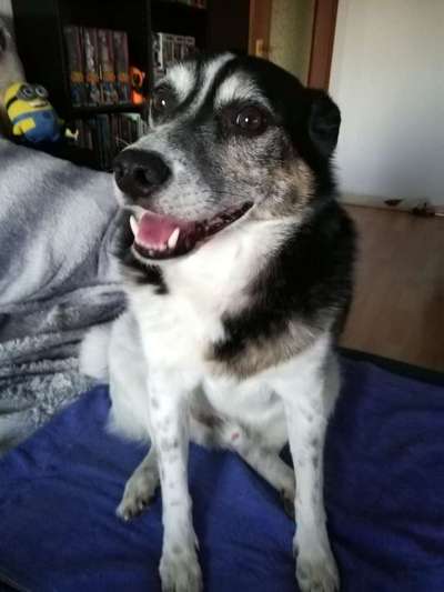 Immer lächeln !-Beitrag-Bild