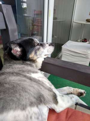 Die unbequemsten und lustigsten Schlafpositionen-Beitrag-Bild