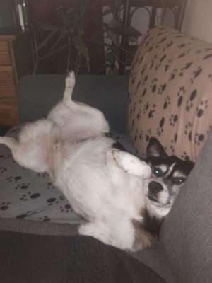 Die unbequemsten und lustigsten Schlafpositionen-Beitrag-Bild