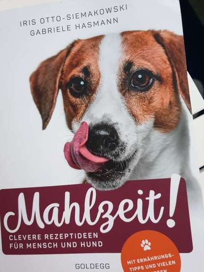 Selber kochen für den Hund ?-Beitrag-Bild