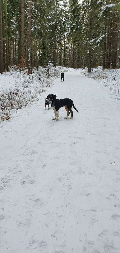 Zeigt mir eure Lieblingsfotos ♡♡-Beitrag-Bild