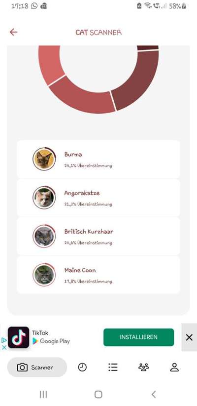 Hunderasse gesucht-Beitrag-Bild