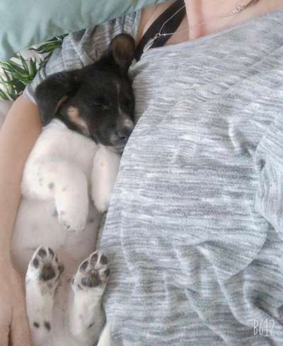 KUSCHEL PARTNER-Beitrag-Bild