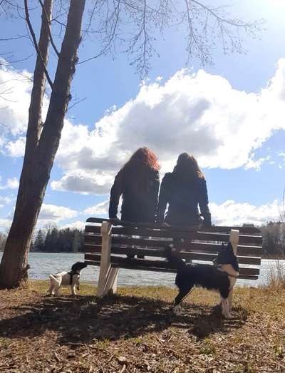 Challenge 23 : "  Euer Hund beim Frühlingserwachen "-Beitrag-Bild