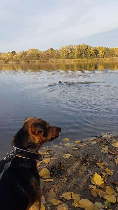 Foto Challenge - BEENDET - bitte aktuelle Challenge nutzen-Beitrag-Bild