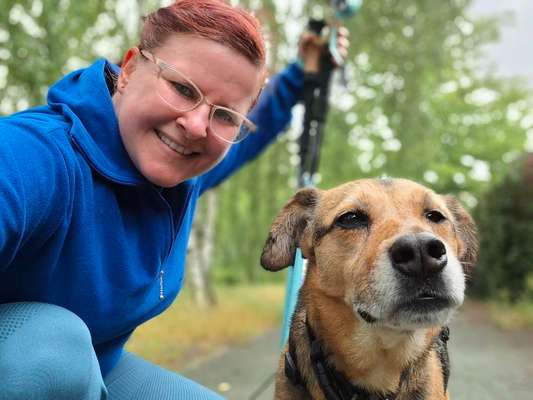 Hundetreffen-Nordic Walking mit Hund-Bild
