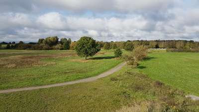 Hundeauslaufgebiet-Karower Wiesen-Bild