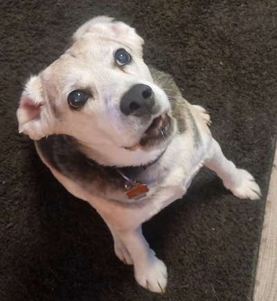 Handy-Foto Challange Nr. 10-Beitrag-Bild