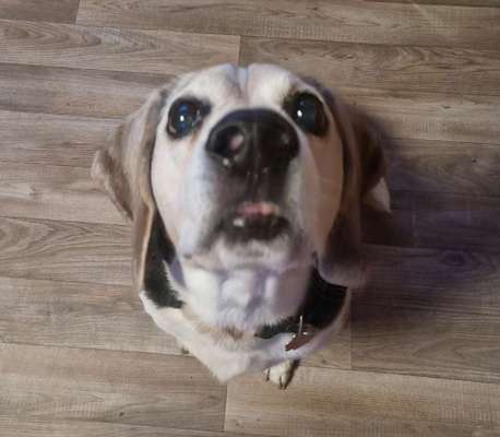 Handy-Foto Challange Nr. 10-Beitrag-Bild