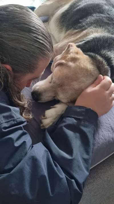 Unsere Fellnasen im Regenbogenland-Beitrag-Bild