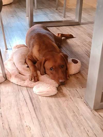 Geschwister Gesucht-Beitrag-Bild