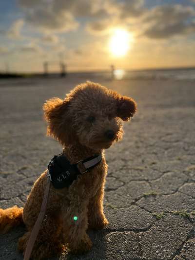 Theos Fotochallange Nummer 4-Beitrag-Bild