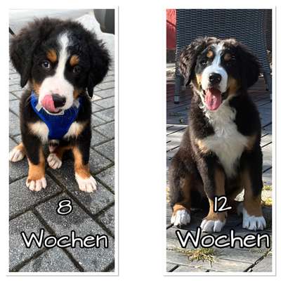 Sie werden so schnell groß!-Beitrag-Bild